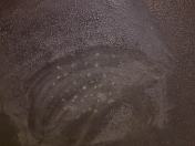 Silicon rubbed down ready to be made good